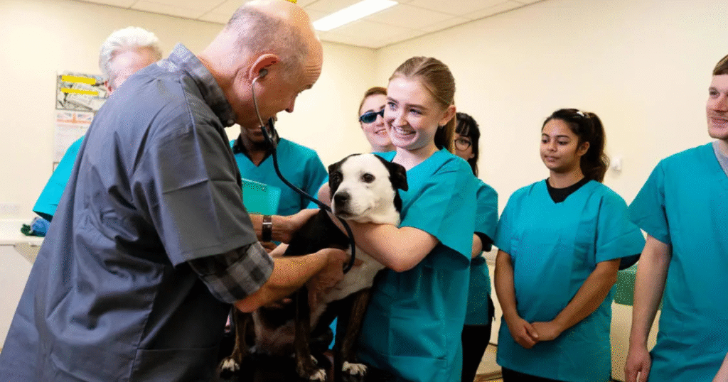 Do UK Universities Offer Veterinary Courses?