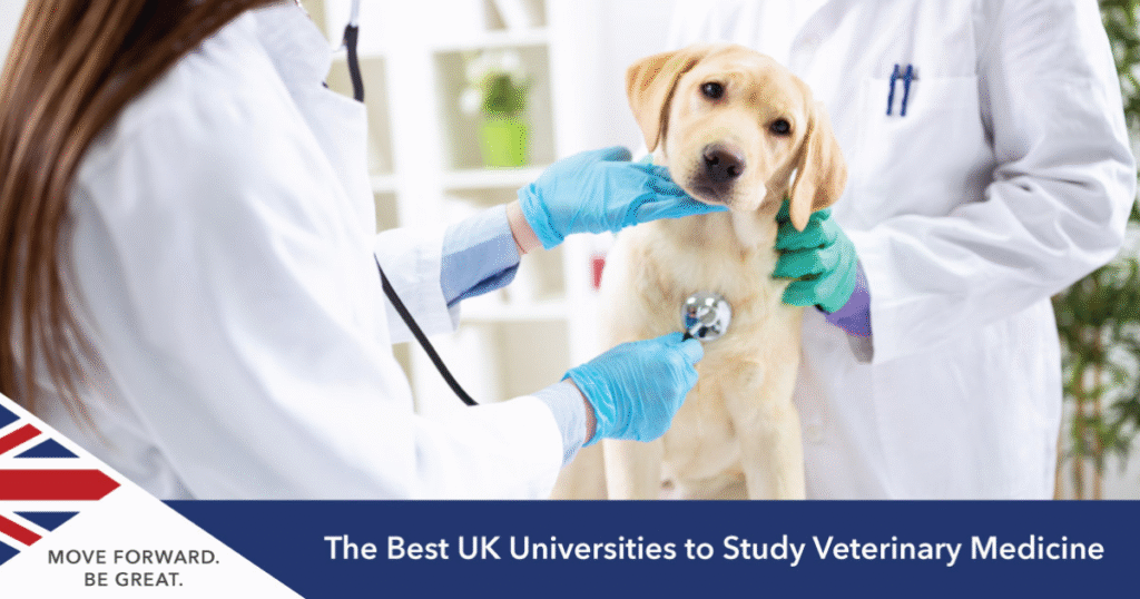 Do UK Universities Offer Veterinary Courses?
