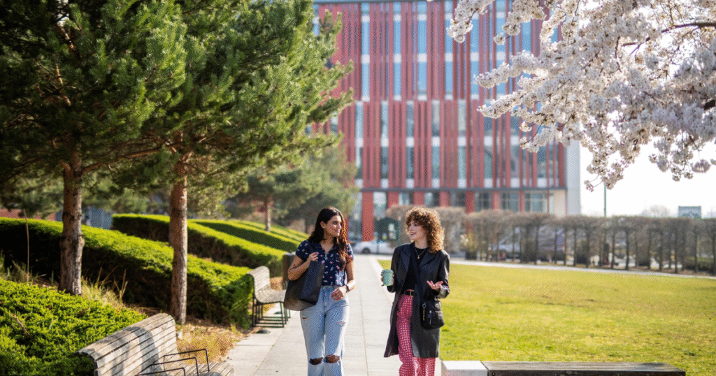 The Best Degree Courses in the UK | Uni & Under Graduate Options